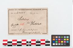 Etikett zu Bimetalldolch (NHMW-PRAE-024048)
